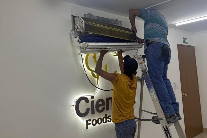 Proyecto-Destacado-6